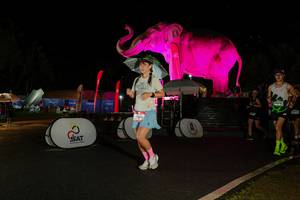 BIB: 
                            <button type="button" onclick="openModal(26542798)" class="btn btn-primary btn-sm float-right btn-popup" data-toggle="modal" data-target=".modal-high-quality">
                        <i class="fas fa-shopping-cart"></i> Add to Cart
                    </button>
                                            <button type="button" onclick="isThisMe(26542798, true)" class="btn btn-success btn-sm float-right btn-popup btn-isme hidden" data-toggle="tooltip" data-placement="bottom" title="นี่คือรูปของคุณใช่ไหม คลิกที่นี่เพื่อเอาเข้าอัลบั้ม">
                        <i class="fas fa-plus"></i> Add to album
                    </button>
                    <button type="button" onclick="isThisMe(26542798, false)" class="btn btn-warning btn-sm float-right btn-popup btn-isnotme hidden">
                        <i class="fas fa-ban"></i> Remove from album
                    </button>